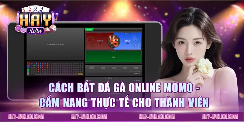 Cách Bắt Đá Gà Online Momo - Cẩm Nang Thực Tế Cho Thành Viên