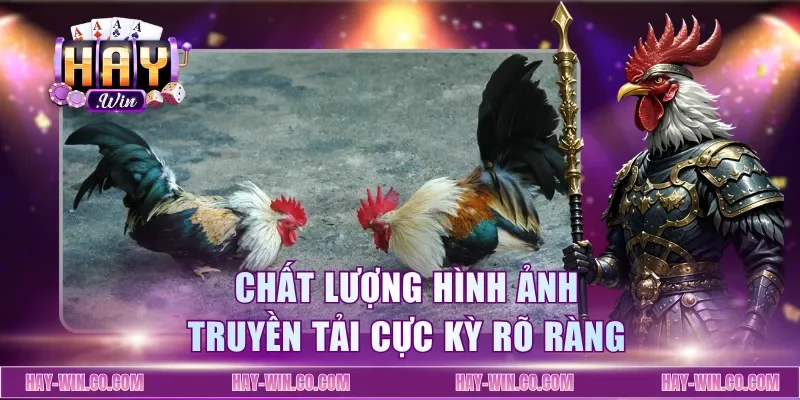 Chất lượng hình ảnh truyền tải cực kỳ rõ ràng