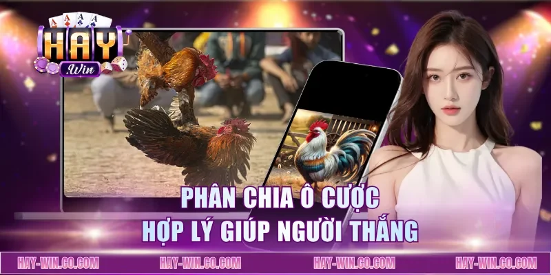 Phân chia ô cược hợp lý giúp người thắng