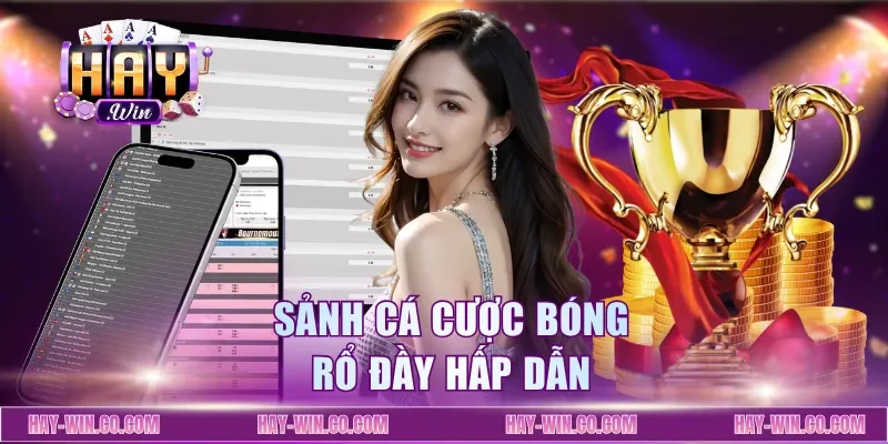 Sảnh cá cược bóng rổ đầy hấp dẫn