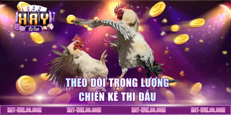 Theo dõi trọng lượng chiến kê thi đấu