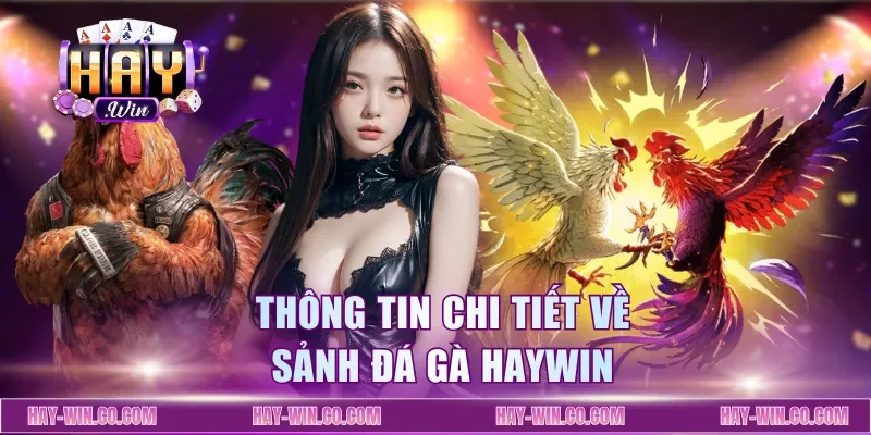 Thông tin chi tiết về sảnh đá gà Haywin