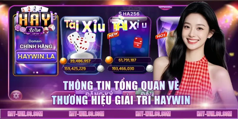Thông tin tổng quan về thương hiệu giải trí Haywin