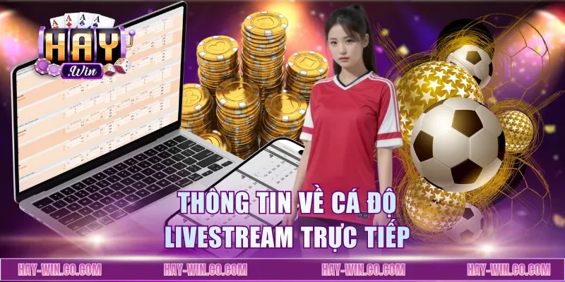 Thông tin về cá độ livestream trực tiếp
