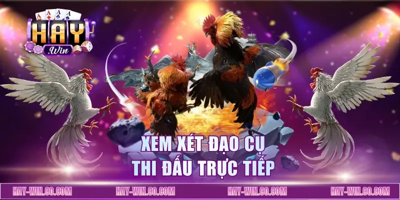 Xem xét đạo cụ thi đấu trực tiếp